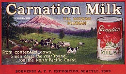 Carnation print advert.